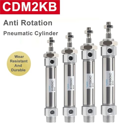 Vérin pneumatique CDM2KB en acier inoxydable 20x250 mm avec tige hexagonale