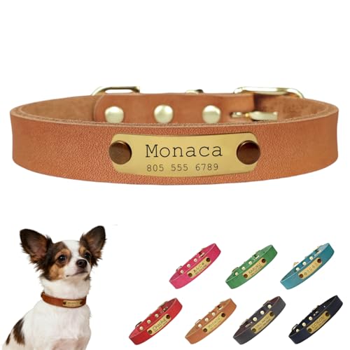  {v qD Lp   v~A I[_[Ch dグ ybĝOAAdb  ID^O ^ ^ ^ TCY\ y t@bV