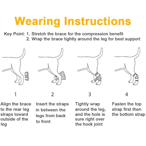 Zunea 2Stück Hund Hunde hinten Bein Hock Bandage Hinterbein schützt Wunden Wrap Kompression Klammer heilt für Wunde Verletzungen und Verstauchung Heilung von Arthritis Schwarz M