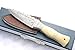 Unique New Genuine Damascus Steel Bespoke Full Tang Camel Bone Handle Sheffield Sgian Dubh with Leather Sheath Gift Boxed