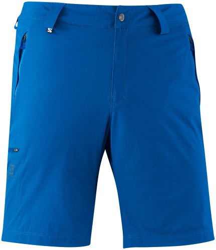 Salomon Men's Wayfarer Short