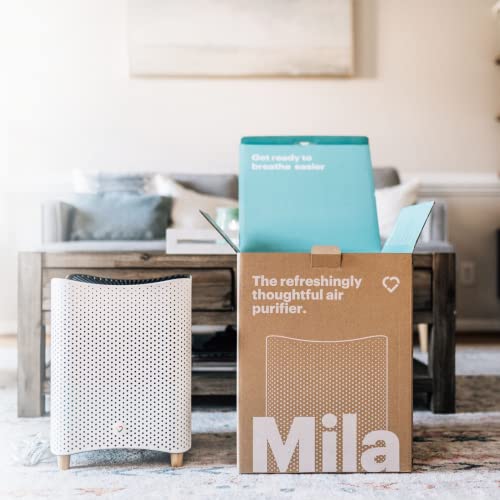 Mila Air Purifier With Overreactor Filter (H14 Hepa + 1.25 Lb Of Modified Granular Carbon), Best-In-Class Filter For Vocs, Formaldehyde, Odors, Dust, Pollution & Pet Dander, 99.995% Efficiency, 254 Cadr,  560 Ft2 Coverage, 12”X12”X15”, White #TOP1