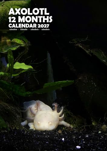 Calendario 2027 Axolotl A3 para decorar tu oficina y organizar tus meses a todo color con espiral