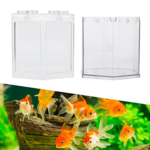 Hex Shape Portable Fish Tank With Rounded Corner Design - Mini Aquarium Starter Kit for Home Office, Clear - Image 3