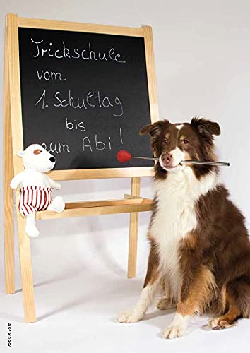 Die große Trickkiste für Hunde: Pfiffige Beschäftigung für drinnen und draußen