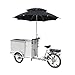 cozytrikes Electric Ice-Cream Tricycle | Portable 3-Wheel Vending Bike with 550W Motor and 41-Gallon Freezer Capacity