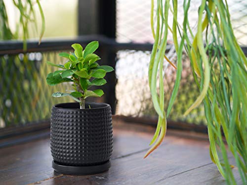 Pot de fleurs noir en grès 10,2 cm avec soucoupe intégrée - 7
