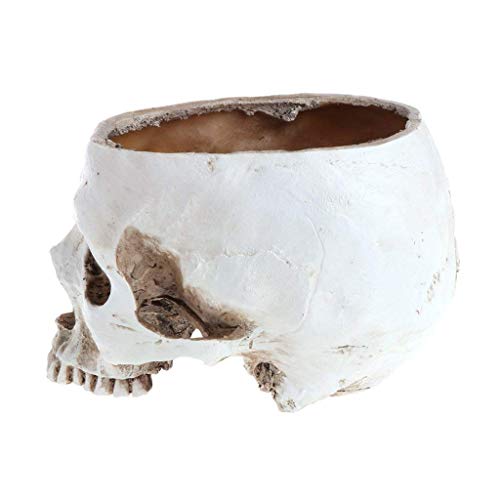 Skull Planter , Resin Skull Head Flower Succulent Cactus Planter Pots , Small Object Containers Keys Sugar Candy Bowl , For Home Office Desk Decorations Halloween Scene Statue Sculpture Decorations #TOP2