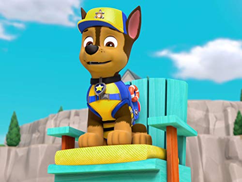 Sea Patrol: Pups Save the Sunken Sloop/Sea Patrol: Pups Save a Wiggly Whale