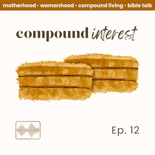 Ep. 12 | The 2nd Commandment & Home Church cover art