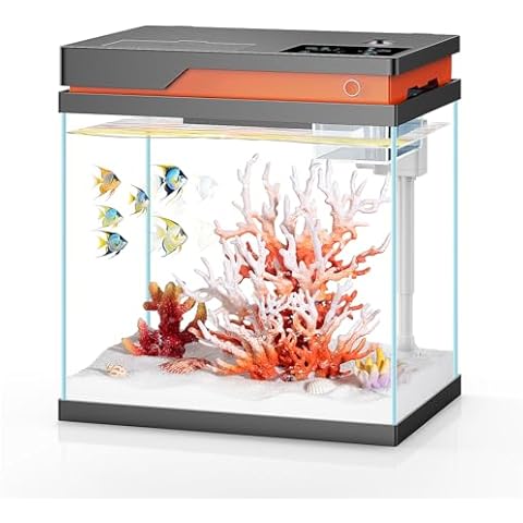 PONDON Fish Tank, 4 Gallon Beta Fish Aquarium with Filter and Light, Glass Beta Fish Tank Startar Kit with Automatic Feeder Cover