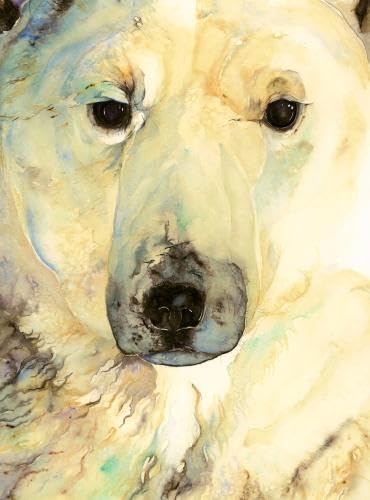 The Ice Bear: Author Edition