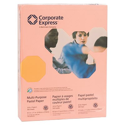 Recycled Multi-Purpose Pastel Colored Copy Paper, 20 lb., Letter, Salmon, 500/RM CEB8511SAL