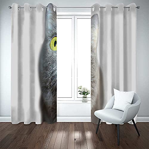 LWXBJX Blickdicht Vorhang für Schlafzimmer - Graues Katzentier - 3D Druckmuster Öse Thermisch isoliert - 264 x 240 cm - 90% Blickdicht Vorhang für Kinder Jungen Mädchen Spielzimmer Cover