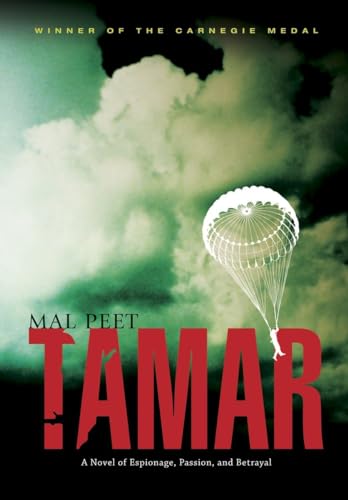 Tamar view 2