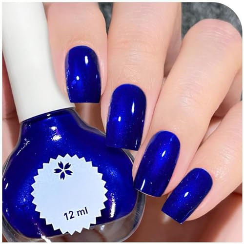 Royal Blue Holographic Nail Polish – Super Sparkling, Quick Dry, Long-Lasting, Chip-Free, No UV Needed, Clear Glitter Varnish for DIY Nail Art & Manicure Sets