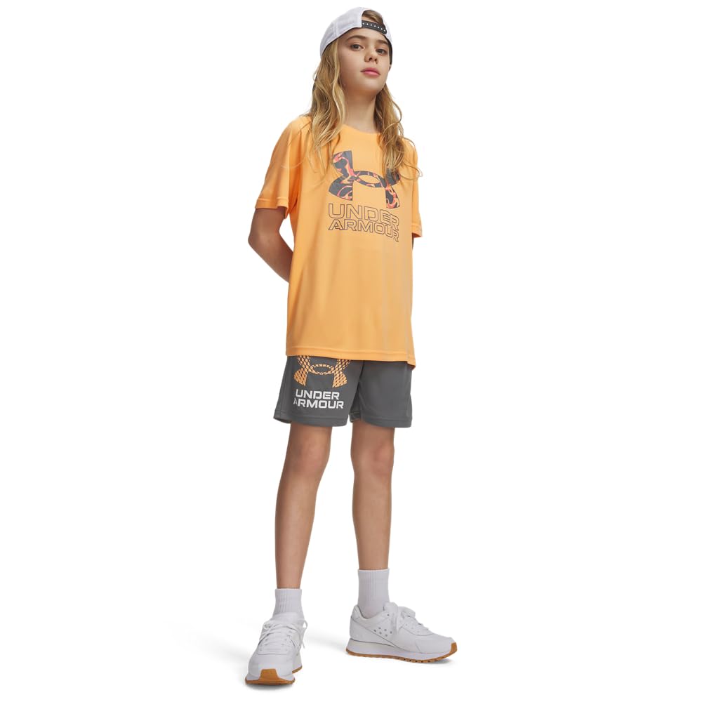 Under Armour Boys Tech Logo Shorts