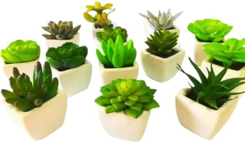 Conjunto com 6 Vasos de Cerâmica e Mini Suculentas Artificiais - ...