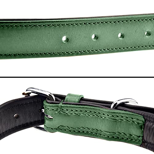 Schnüffelfreunde Halsband für Hunde aus Leder, Hundehalsband für den großen, mittleren und kleinen Hund, Lederhalsband gepolstert, robust (L - 36-45cm, Grün)