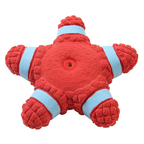 Image of EETOYS Petlicious and More Dog Latex Squeaky Star Toy (Medium)