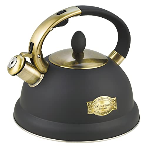 10 Best Luxury Tea Kettles (January2024)