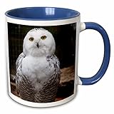 ❦❦❦ Matériau❦❦❦ ： Ces mug café sont fabriqués en céramique, ce qui offre une plus grande résistance à la température pour une utilisation durable.