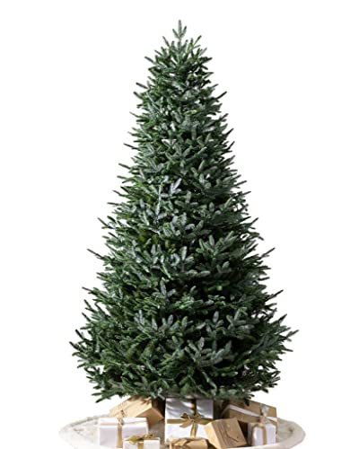 European Silver Fir