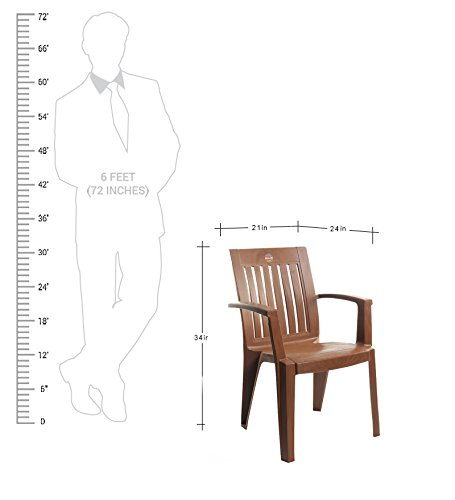 Image of CELLO Prominent Chair Set Pack of 2 - Sandalwood Brown | Strong and Durable | Easy to Clean | Chair for Living Room, Bed Room, Kitchen, Office Room, Outdoor | 3 Years Warranty