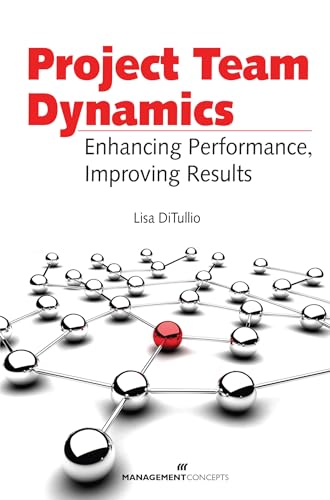 Project Team Dynamics: Enhamcing Performance, Improving Results view 2