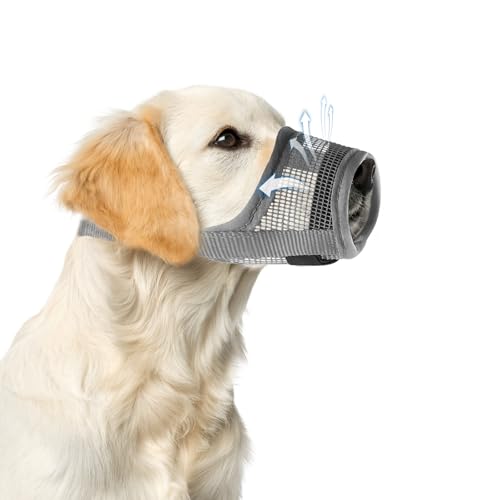 How to muzzle train an aggressive dog