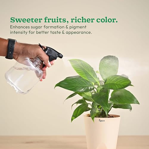 Image of Ugaoo InstaGrow NPK 00:52:34 Fertilizer (250g) | Water-Soluble Fertilizer for Flowering & Fruiting | Boosts Root Growth & Bloom Quality