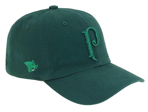 Boné Relevo 3D Frontal Bordado Palmeiras Licenciado (Verde)