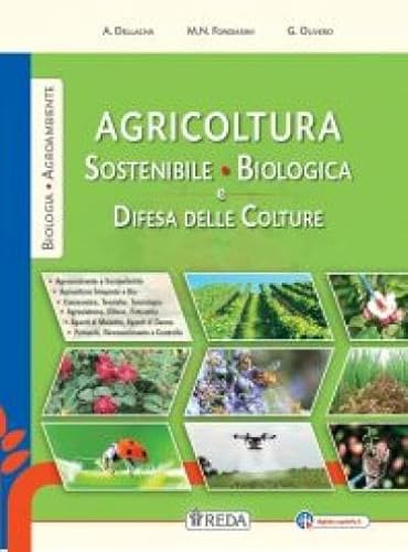 8052331566634 [SOLO COPERTINA REBILLO - NO LIBRO] Copertina su misura per 9788883613609 + Kit Scuola Completo (2 quaderni, penne, matita, gomma, evidenziatori, cancellino) | Proteggi e Studia con stile