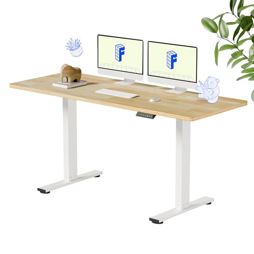 FlexiSpot EN1 Solid Wood