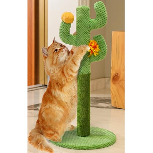 킢 ܂Ƃ Lbg^[ L^[   O[ ω׏d X 萫  RpNg 30*42 ˂܌ ܂Ƃ|[ L u