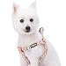 Blueberry Pet New Step-in Spring Scent Inspired Rose and Butterfly Print Pastel Pink Dog Harness, Chest Girth 16.5" - 21.5", Small, Adjustable Harnesses for Dogs