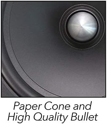 Close-up of Genius speaker paper cone and bullet