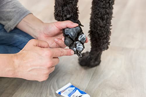 TRIXIE Paw-Care | Doppelpack | 2 x 50 ml | Pfotenpflege Creme mit Bienenwachs für Hunde und Katzen | Bei rissigen und gereizten Pfoten | Kann dabei helfen, die Pfoten zu pflegen