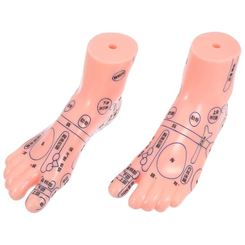 Modèle de pied pour réflexologie réaliste en PVC avec points d'acupuncture