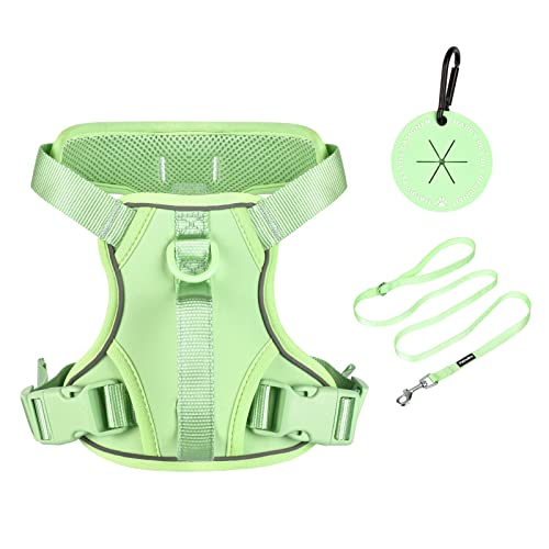 Petmolico Dog Harness for Small Dogs, Cute Harness Vest with Two Leash Clips and Soft Handle, Reflective Easy Walk Puppy Vest - Mint Green, Small