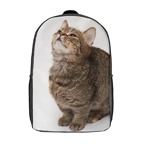 Sac à dos école enfant chat de 17 pouces pour collégiens et adultes