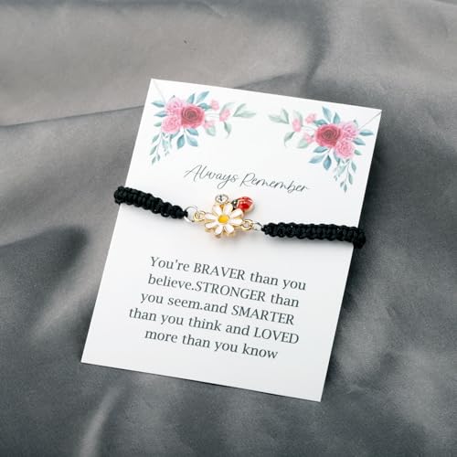 BNQL Ladybug Bracelets Gifts for Women Girls Ladybug Charm Bracelet Ladybug Jewelry Inspiration Ladybug Gifts Ladybug Lover Gifts3