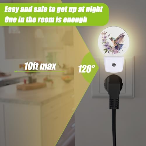 Image of Groovy Hummingbird Flowers Night Light,Night Lights Plug into Wall for Kitchens Toilets Bedroom Decorative Half Round Nightlight Led Lamp 0.5W Sleep Friendly