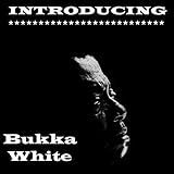  Introducing Bukka White