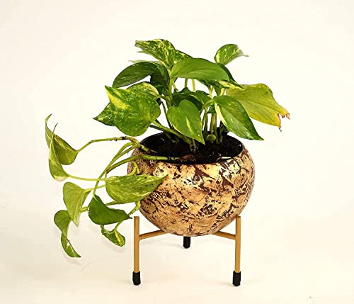 Image of HINS Metal Polka Round Shape Flower Plant Pot With Stand (Pink, Small Set of 3) Metal Pots For Indoor Plants I Elevated Garden Planter I Raised Planter I Desk Plant I Raised Planter Box I Ascent Homes Metal Planter I Raised Planter Box With Legs I Brass Pots For Indoor Plants I Golden Planter I Mid Century Plant Stand I Brass Planters For Indoor Plants I Indoor Plant Stand For Living Room I Metal Planters Pot For Indoor Plants designer pots for indoor plants