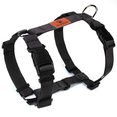 ybtzBowNya Cauda,  n[lX CǋE ANeBun[lX ȒP 5\ (ubN, L)