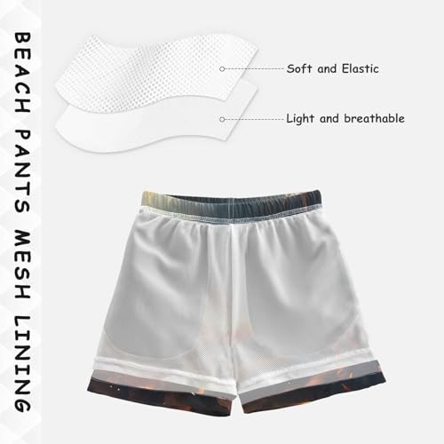 Phoenix Boys Swim Trunks with Compression Liner,Quick-Dry Stretch Swim Shorts UPF 50+ （789）4