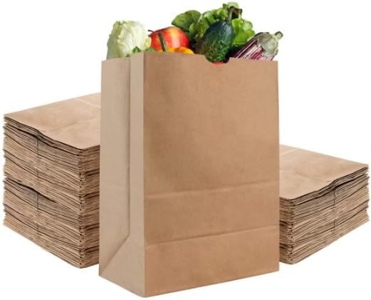10LB Brown Kraft Paper Bags, Large Size for Food, Snacks, Lunch, Crafts, Bulk Pack (500)