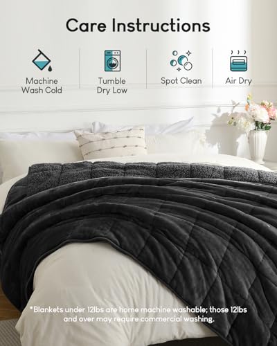 Cottonblue Sherpa Fleece Weighted Blanket 12lbs for Twin/Full Bed, Plush Bed Weighted Throw Blankets for Deep Sleep and Relaxation, Heavy Calm Blankets with Cemaric Beads, 48x72 Inches, Black