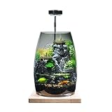 Glass Container Miniature Landscape, Waterfall Fish Tank, Eco Tank, Plant Landscape